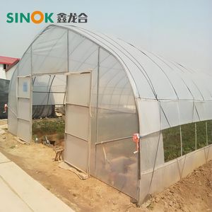 Single Span Reinforced Plastic Film Tunnel Greenhouse for Horticultural Farming
