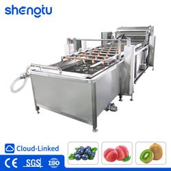 Industrial Organic Produce Continuous Flow Air Bubble Cleaning Machine with PLC Control Panel