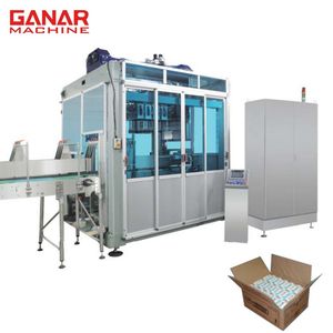Automatic Case Packer Machine for Bottles