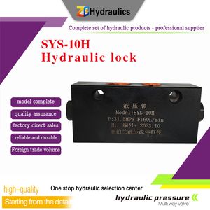 China High Quality Sys-10h Hydraulic Lock for Sale
