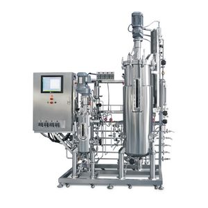 Stainless Steel Biological Fermentation Tank