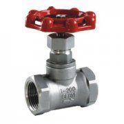 Stainless Steel 200psi / Pn16 Globe Valve (I)