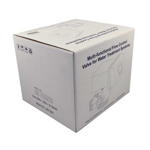 Industry Ruxnin Automatic Backwash Filter Softener Valve F67c