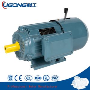 Yej2 Motor with Brake Yej2132m-4 7.5kw 1440rpm for Pharmaceutical Machinery