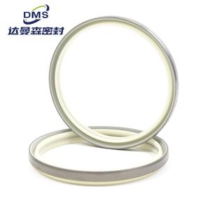 Standard Size NBR Dkb Oil Seal for Excavator