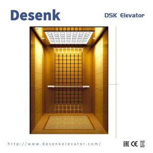 Eac Russia Certification Passenger Lift with Vvvf Control System