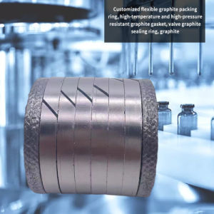 High Pure Flexible High Flexural Strength Customized Carbon Graphite Ring