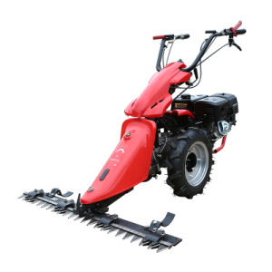 Power Tillers Cultivators for Tilling Multifunction Gasoline Power Tiller Italy BCS Two Wheel Tractor