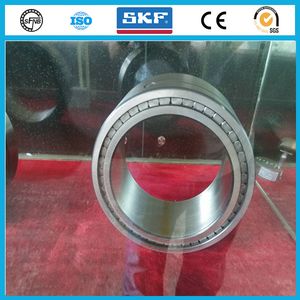 Full Complement Cylindrical Roller Bearing SL185018 Nncf5018 Roller Bearing