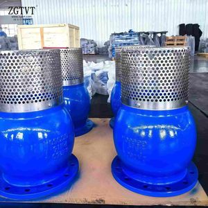 Blue Red Color Ggg40/50 Foot Valve