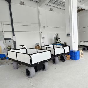 Outdoor Load Capacity Beach Cart with Big Balloon Wheels for Sand Heavy Duty 4 Wheels Platform Cargo Beach Hand Cart Trolley