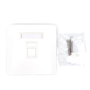 Double Ports Cat5e CAT6 UTP 86 Type Network Keystone Module Network RJ45 Faceplate