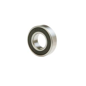 Premium 304 Stainless Steel Double Row Angular Bearings for Precision Applications