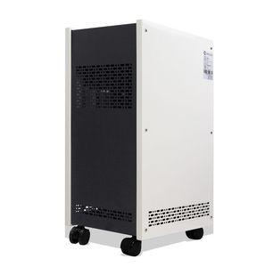 Flygoo Commercial Air Cleaner Machine 30g/Hr Air Purifier Home Ozone Generator