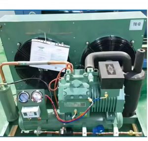 15HP 380V Open Type Freezer Reciprocating Compressor Cooled Condensing Unit Air Cooled Condenser Refrigerator Machinery