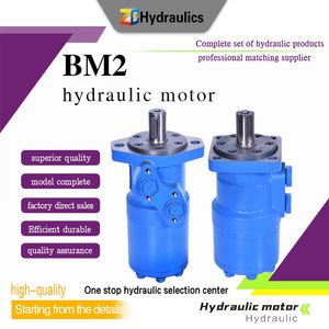 Hot Sale Good Quality Bm2 Series Hydraulic Motor Manufacturer, China Parts Hydraulic