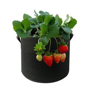 10 Gallon Heavy Duty Nonwoven Felt Fabric Grow Bags for Vegetable Tomato Planting