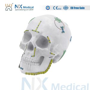 Nx Medical Orthopedic Ortho Orthopaedic Titanium Trauma Surgical Maxillofacial Implant and Screw
