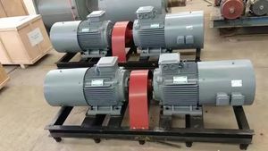 Low Speed Permanent Magnet Generator 400kw 500kw 600kw Hydro Generator with Converter