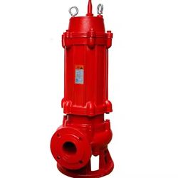 SS304 Underground Waste Water Drainage Pump Self Priming Sewage Pump