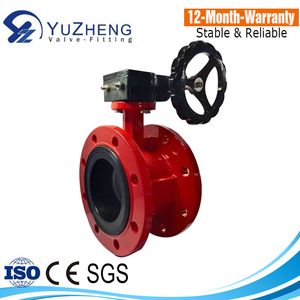 Worm Gear Operated Rubber Seal U Flange Type Butterfly Valve for Sea Water
