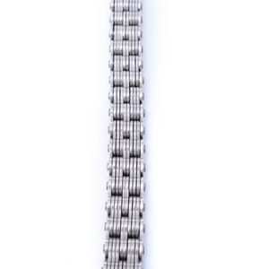 Stainless Steel Leaf Chain Roller (BL834F5, AL, 322)