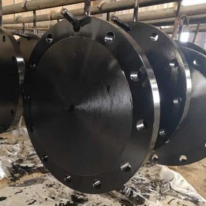 Forged Carbon Steel Stainless Steel Pipe Flanges Welding Neck Carbon Steel Anchor Flanges Steel Flange