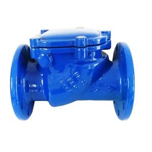 Premium Pn16 Rubber Check Valve for Reliable Fluid Control