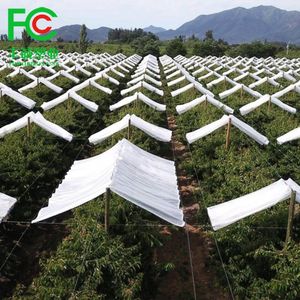 Rain Protection Roofing Plastic UV Resistant Orchard Rain Cover for Fruit Trees