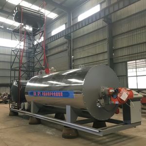 Explosion-Proof Gas Thermal Oil Boiler for Industrial Use
