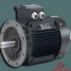 Hoyer Electric Motors 17.4kw - 2p - B3 Ie2/2pol Marine-2102160-15.0-010202