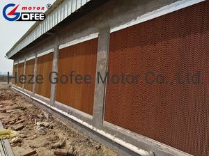 Energy Saving Evaporative Cooling Pad for Poultry House Livestock Farm Geenhouse Agriculture