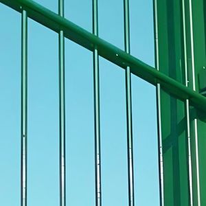Galvanized Iron 868 / 656 Double Welded Wire Fence Panel/Corrosion Resistant Durable Fence/2D Twin Bar Wire Welded Mesh Panel/Double Wire Fence