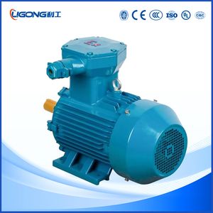 Yb3-315m-4 1485rpm 132kw 180HP Explosion Proof Electric Motor for Grinding Mill