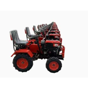 Agricultural 4WD Mini Tractor for Plow & Tillage
