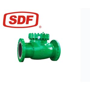 Mic Select Straight Swing Flanged Check Valve with Stainless Steel