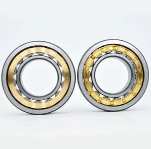 Heavy Duty Cylindrical Roller Bearings N209e, N209ecp, N209em, NF209e, NF209em, Nu209em, Nj209em, Nup209em
