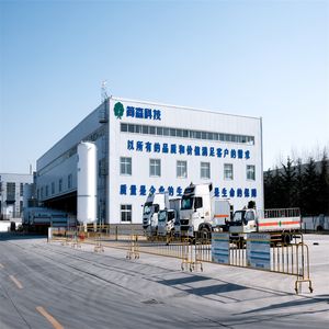 China Factory Supply High Quality Rare Gas 99.999% Purity Neon Ne Gas 3m3/6m3/7m3/10m3 Competitive Factory Price