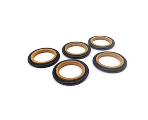 Waterjet Part Rod Sealing Bft Xst17/220 Waterjet Cutting Machine Cyliner Inside Parts