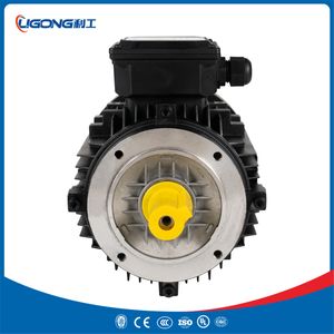 Ye4-80m2-4 Three-Phase Induction Electric Motor 0.75kw 1HP 1435rpm 380V for Processing Machinery