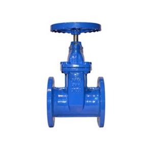 Heavy-Duty Cast Iron Soft-Seal Industrial Water Control Valve