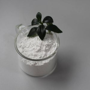 Premium Industrial Talc Powder for Plastic Applications - 1250 Mesh