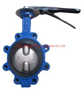 Soft Seat Double Shaft Butterfly Valve in Lug Type