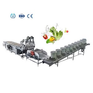 Vegetable Bubble Washing and Wind Drying Machine Fruit Cleaning Machine Dehydration Machine