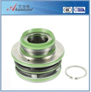 Mechanical Seal with Flygt Pumps