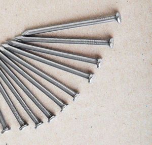 Nails Hot Sale Common Nails for Building Wood From Chinese Factory