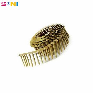 Hardware Stainless Steel Common Electro Galvanized Steel Iron Roof Coil Nail Roofing Wire Nails for Nail Gun