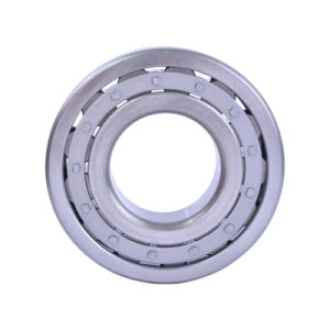 High Quality Cylinder Roller Bearing Single Row Nu Cylindrical Bearing