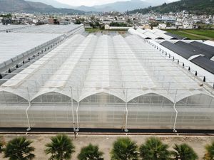 Multi-Span PE Film Plastic Agricultural Greenhouse for Farming