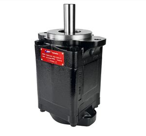 High-Performance T6dr Series Vane Pumps for Park Denison Replacement